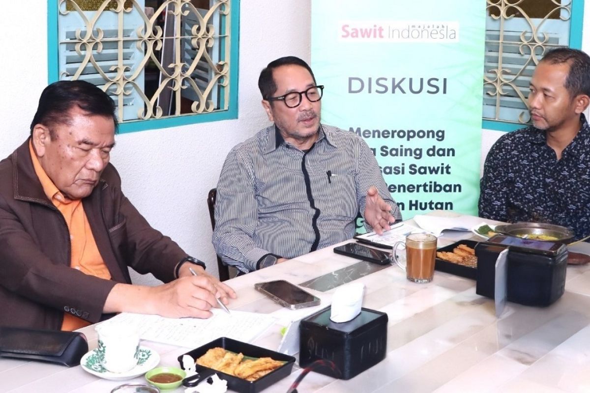 Legislator minta kepastian hukum bagi pelaku sawit pascapenertiban