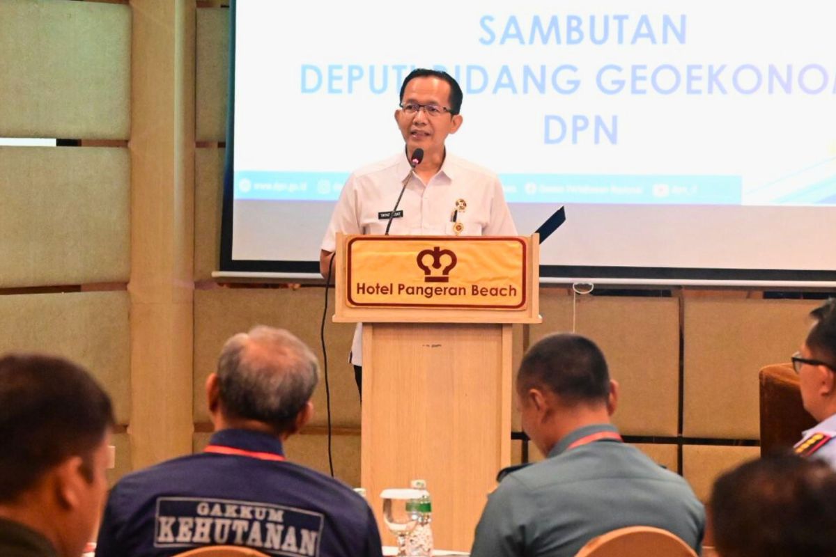 DPN sebut pemulihan ekonomi pascabencana perlu pendekatan komprehensif