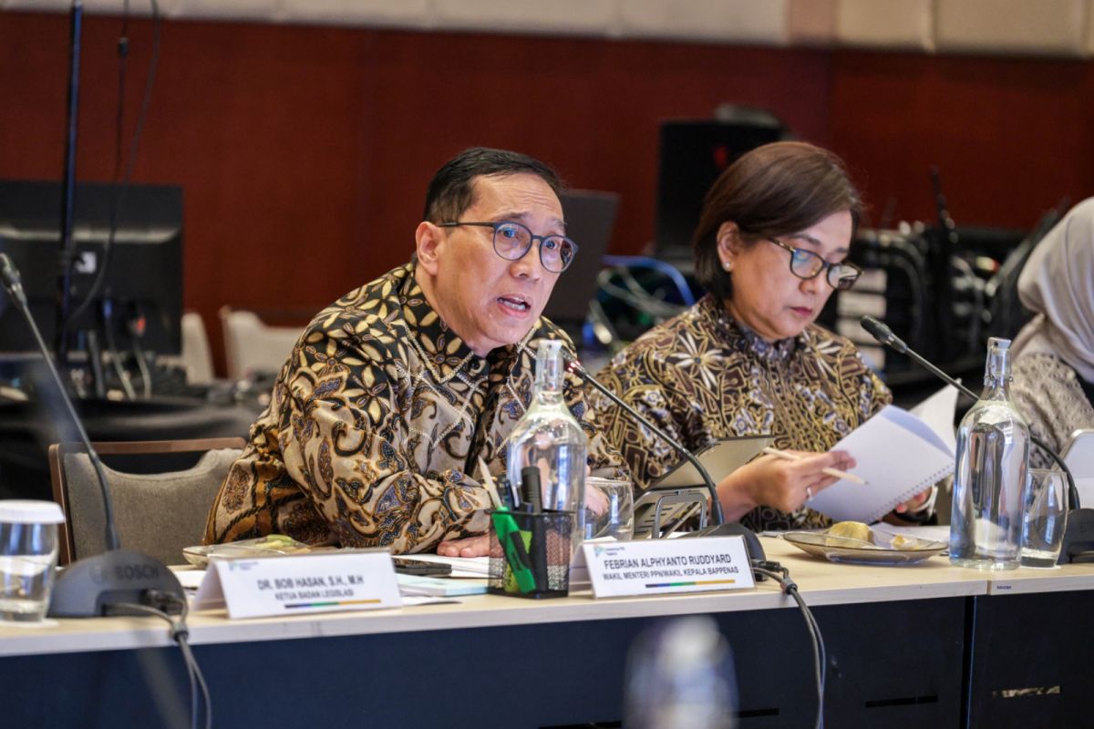 Bappenas: RUU SDI instrumen reformasi tata kelola pemerintahan