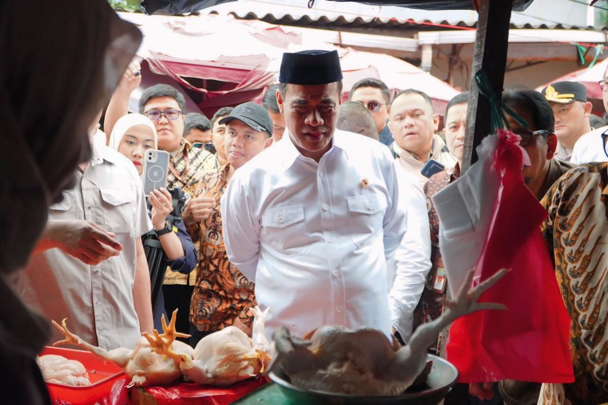 Kabapanas/Mentan: Harga cabai dan daging ayam mulai turun