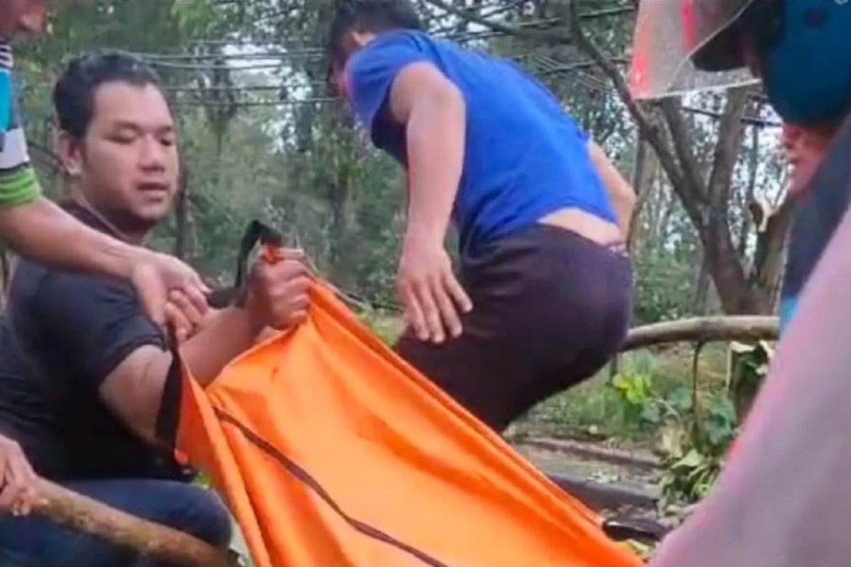 Tiga orang tewas tertimpa pohon dan tiang listrik tumbang