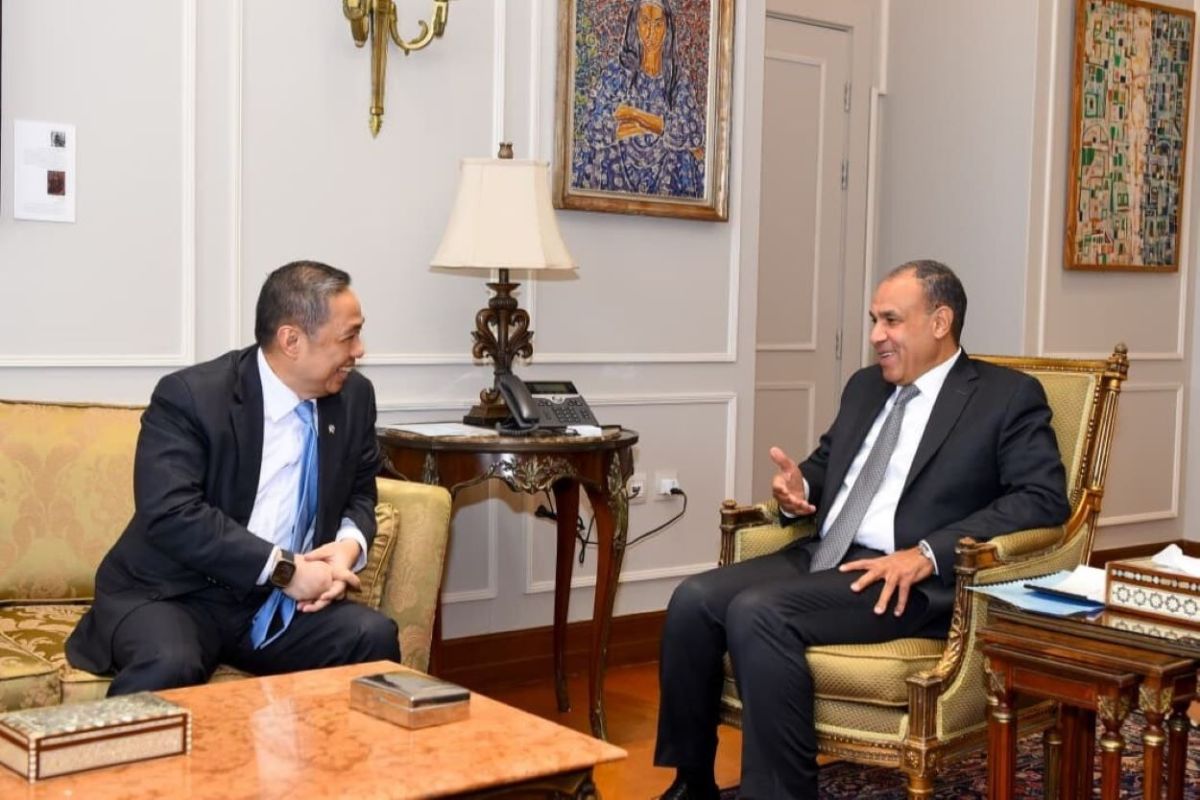 Wamenlu RI bahas rencana kunjungan Presiden Mesir dan KTT D-8 di Kairo