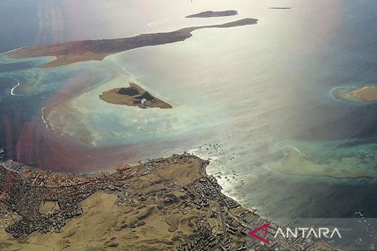 Organisasi Maritim Internasional sarankan kapal hindari Selat Hormuz