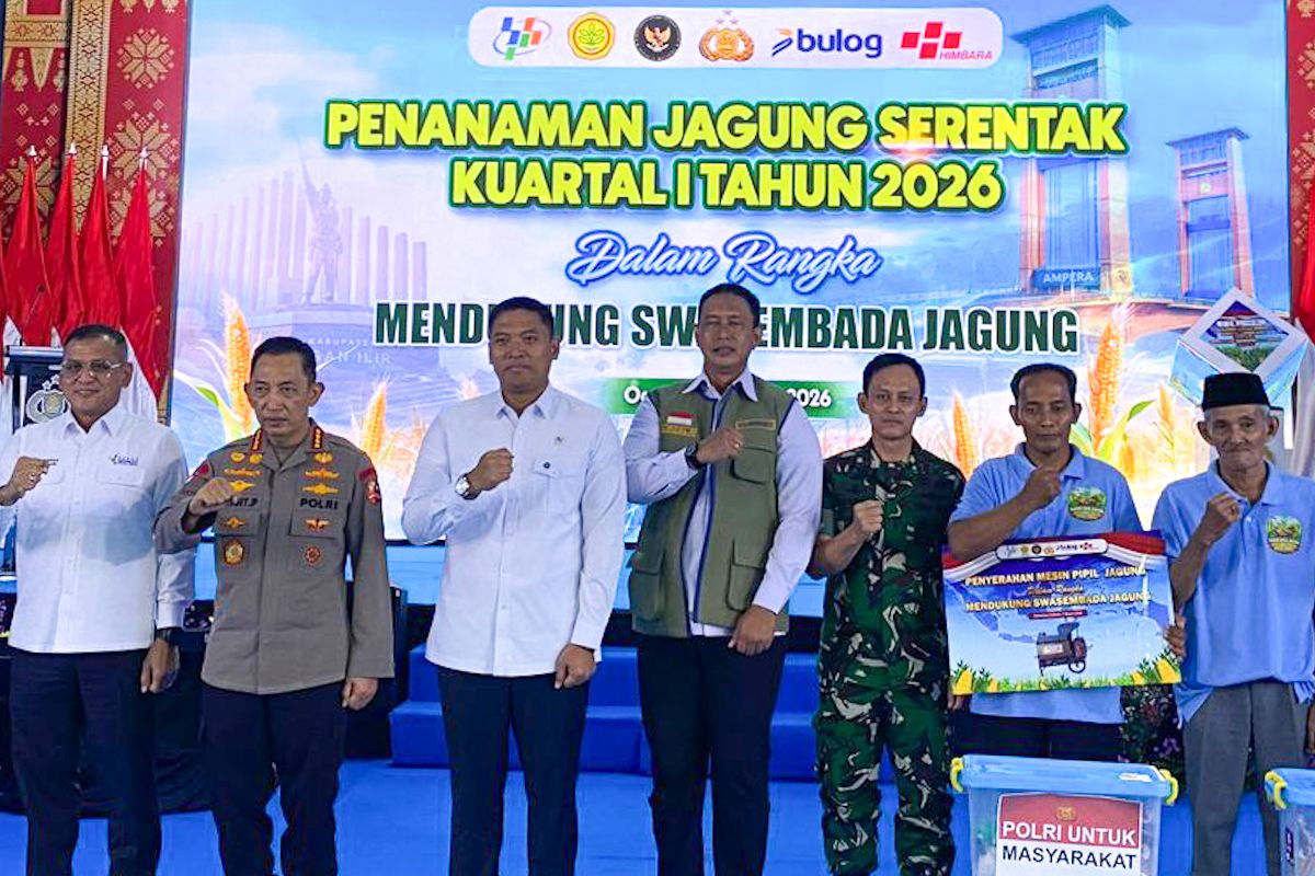 Wamentan: Pemerintah siapkan benih gratis untuk tanam 1 juta ha jagung