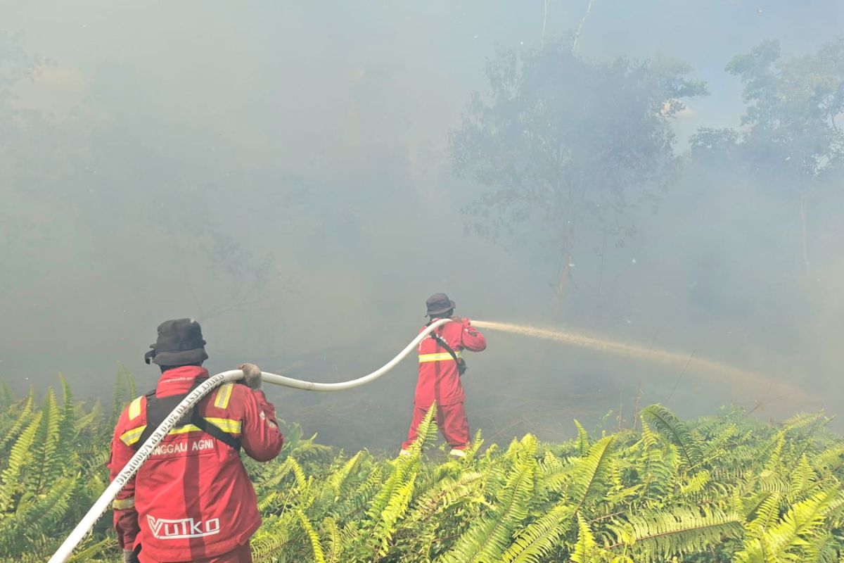 Manggala Agni berjibaku padamkan karhutla di area kantong harimau di Riau