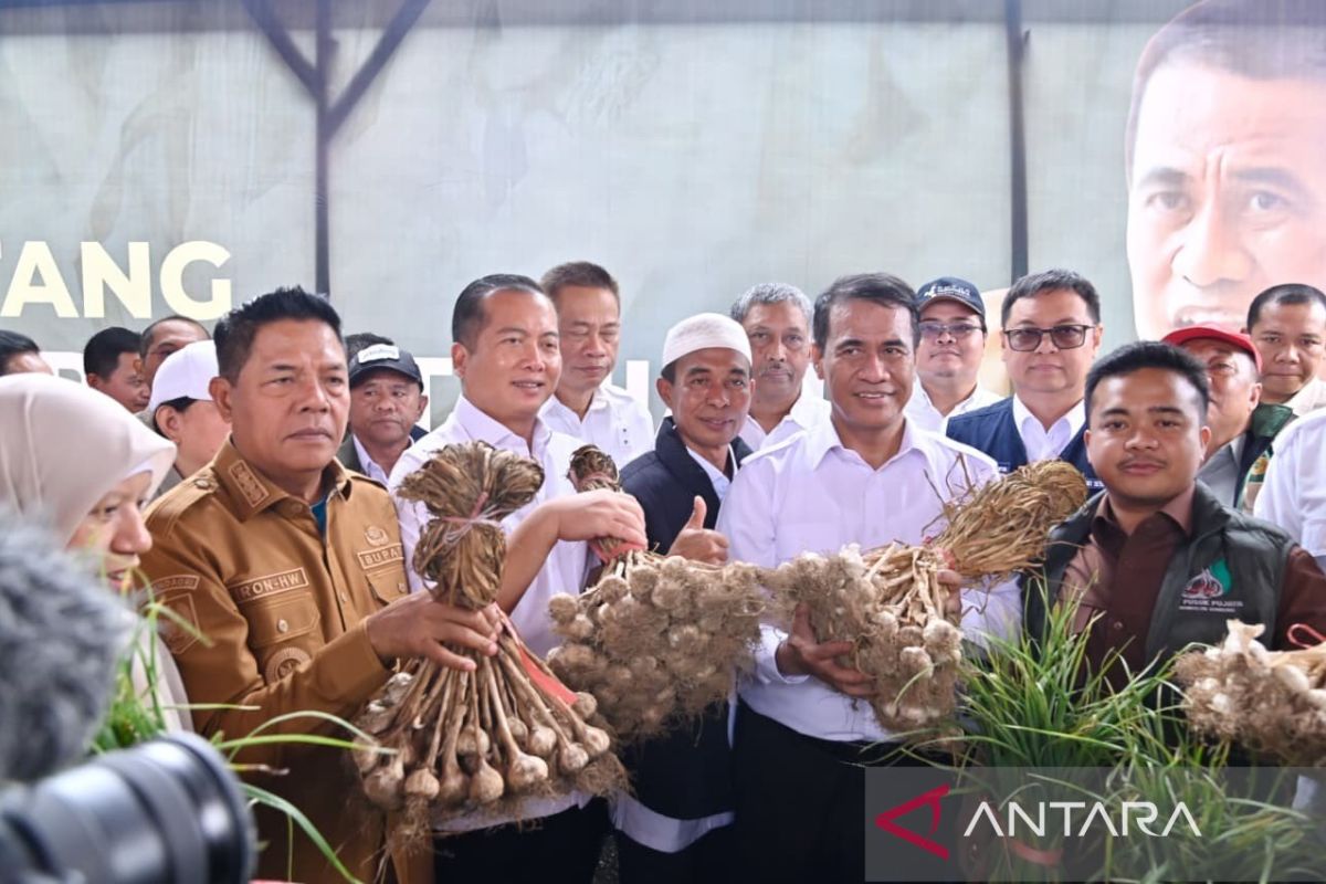 Mentan tetapkan NTB sentra bawang putih untuk swasembada pangan