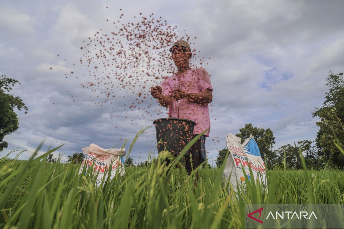 Kementan siapkan aturan turunan Perpres Tata Kelola Pupuk Bersubsidi