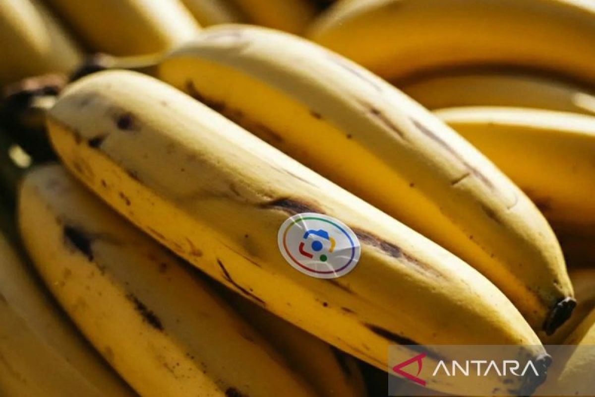 Google rilis Nano Banana 2 yang lebih canggih dari pendahulunya