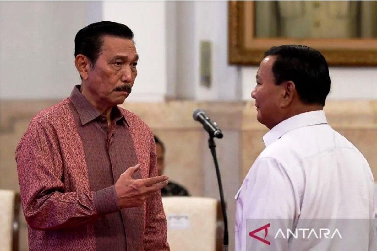 Hoaks! Prabowo marahi Luhut karena jadi pemain di proyek IMIP Morowali