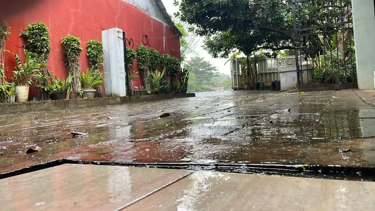 Kondisi Cuaca Kota Bogor Sabtu 7 Maret 2026, Hujan Sepanjang Siang, Potensi Awet Sampai Malam