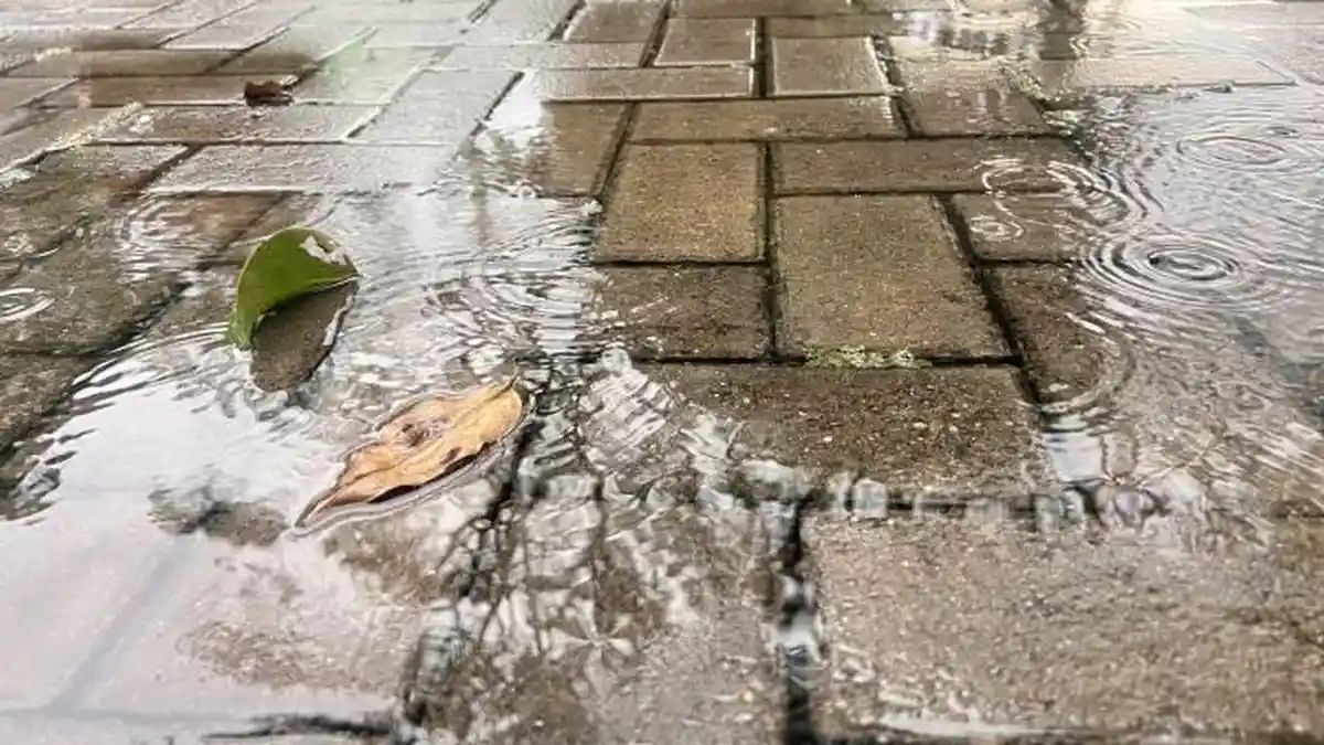 Cuaca Kota Bogor Hari Ini Sabtu 7 Maret 2026, Waspada Potensi Hujan Ringan dari Pagi hingga Sore