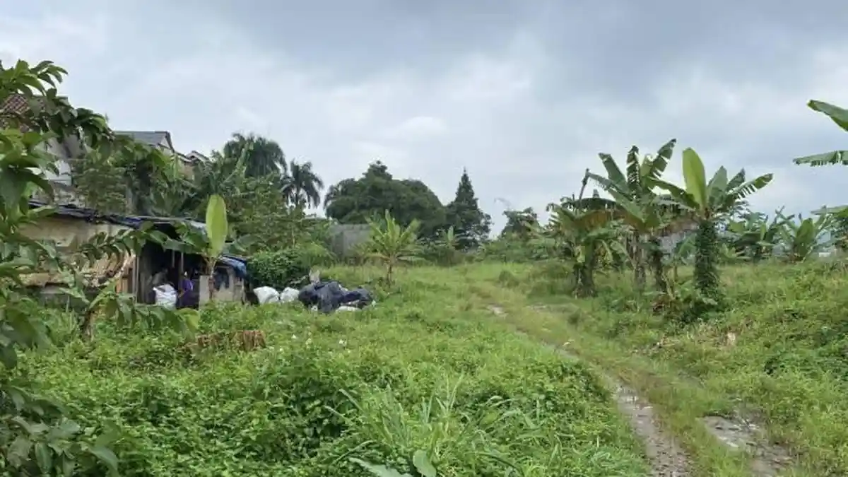 Pemkot Optimis Pembangunan Jalan Baru Batutulis Bogor Dilakukan Usai Lebaran, Lelang Mulai Disiapkan