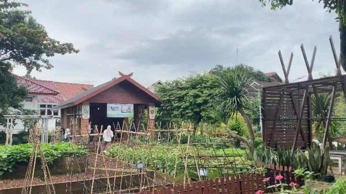 Antisipasi Dampak Konflik Global, Pemkab Bogor Ajak Warga Perkuat Ketahanan Pangan dari Pekarangan