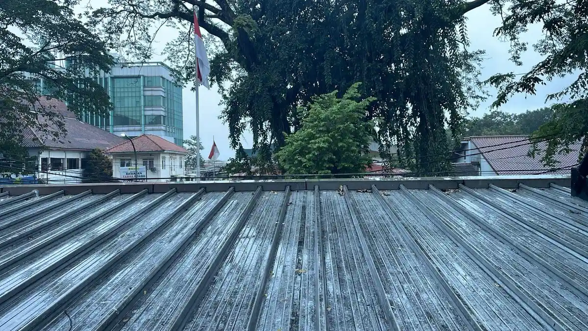 Cuaca Kota Bogor Hari Ini Sabtu 14 Februari 2026, Diprediksi Berawan dan Hujan Ringan Siang Hari