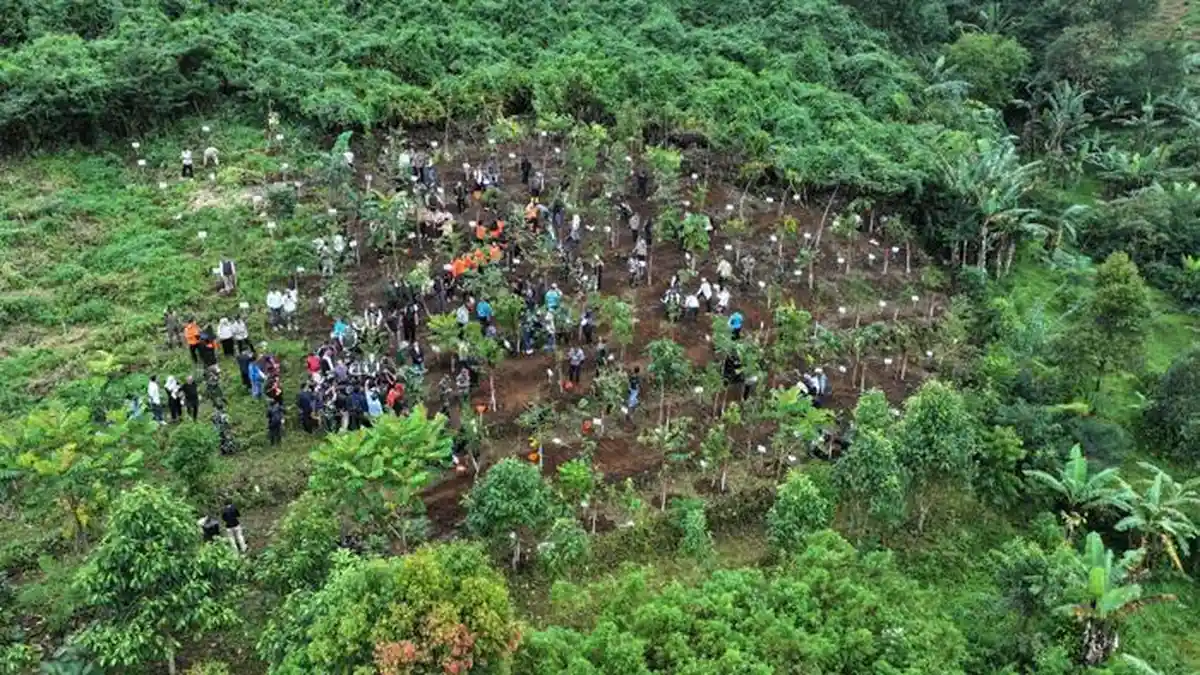 Investasi Lingkungan, Pemkab Bogor Targetkan 220 Hektar Tertanami Pohon Pada Awal Program Hutan Kota