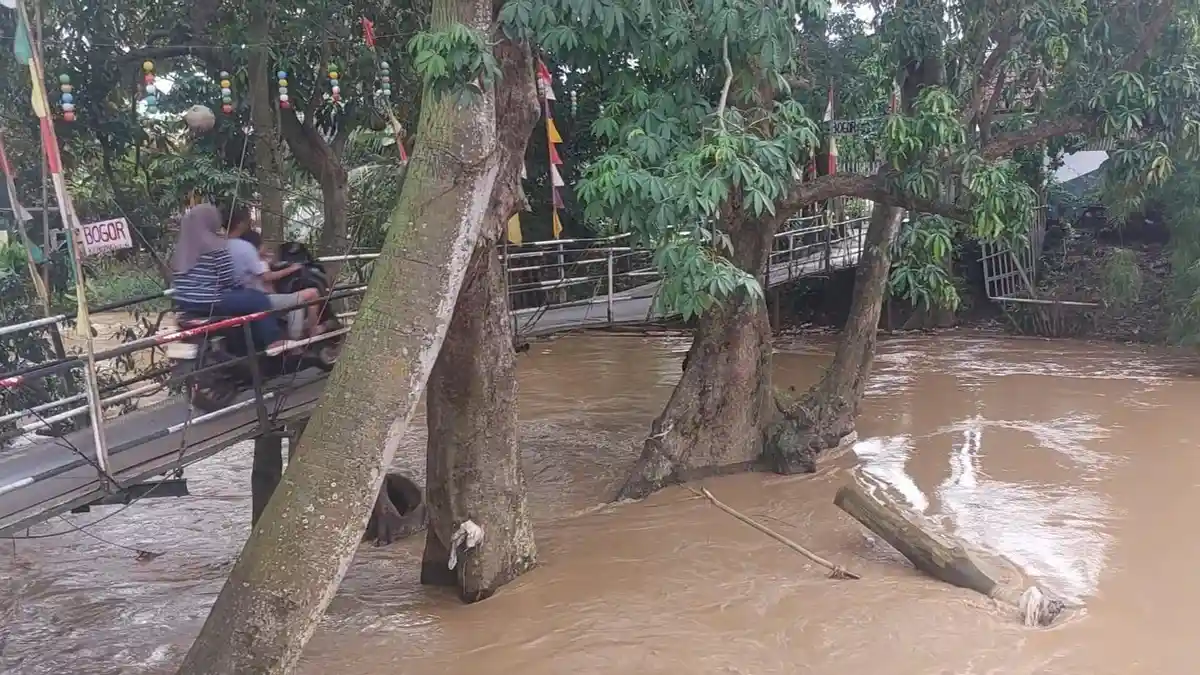 Potret Jembatan Tapal Batas Bogor - Bekasi di Atas Pohon Raksasa, Terendam Banjir Sudah Biasa