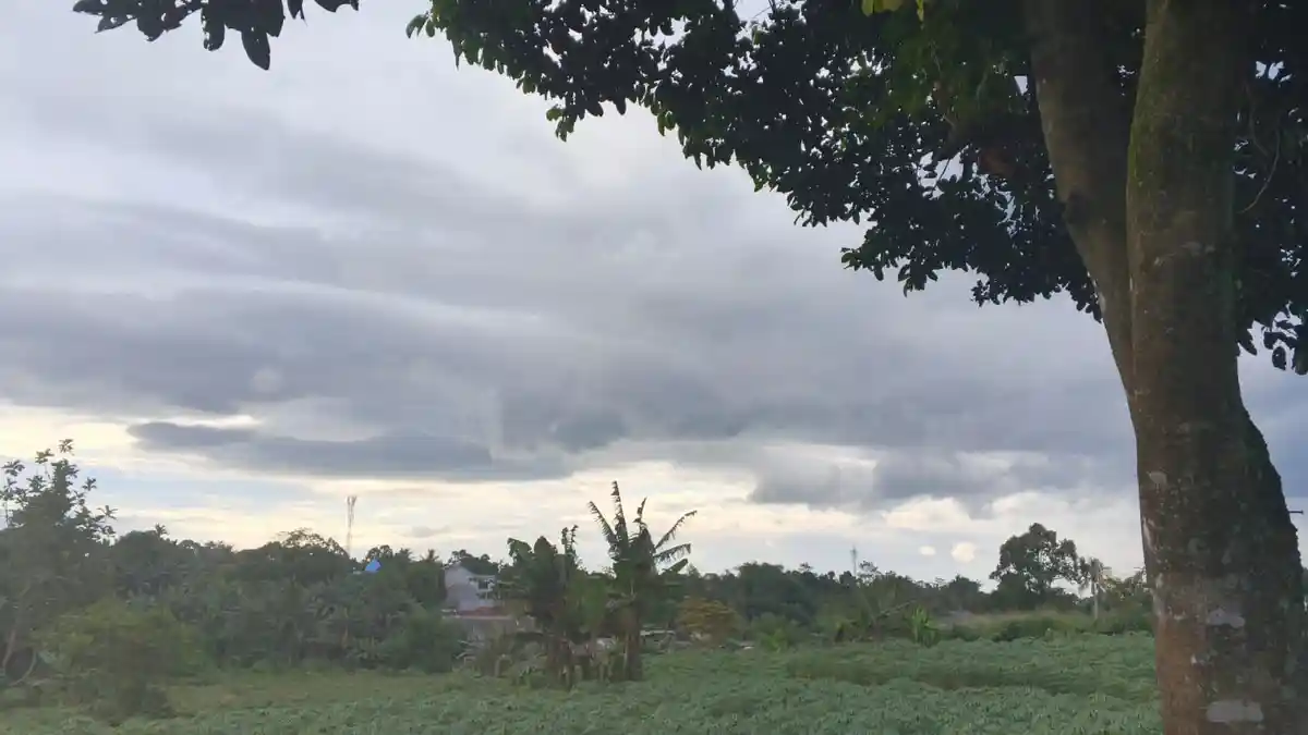 Prakiraan Cuaca Bogor 7 Februari 2026: Langit Berawan Seharian, Suhu Siang Hari Tembus 31 Derajat