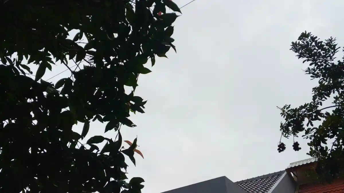 Prakiraan Cuaca Bogor 22 Februari 2026: Pagi Ini Mendung, Diprediksi Turun Hujan Sampai Sore