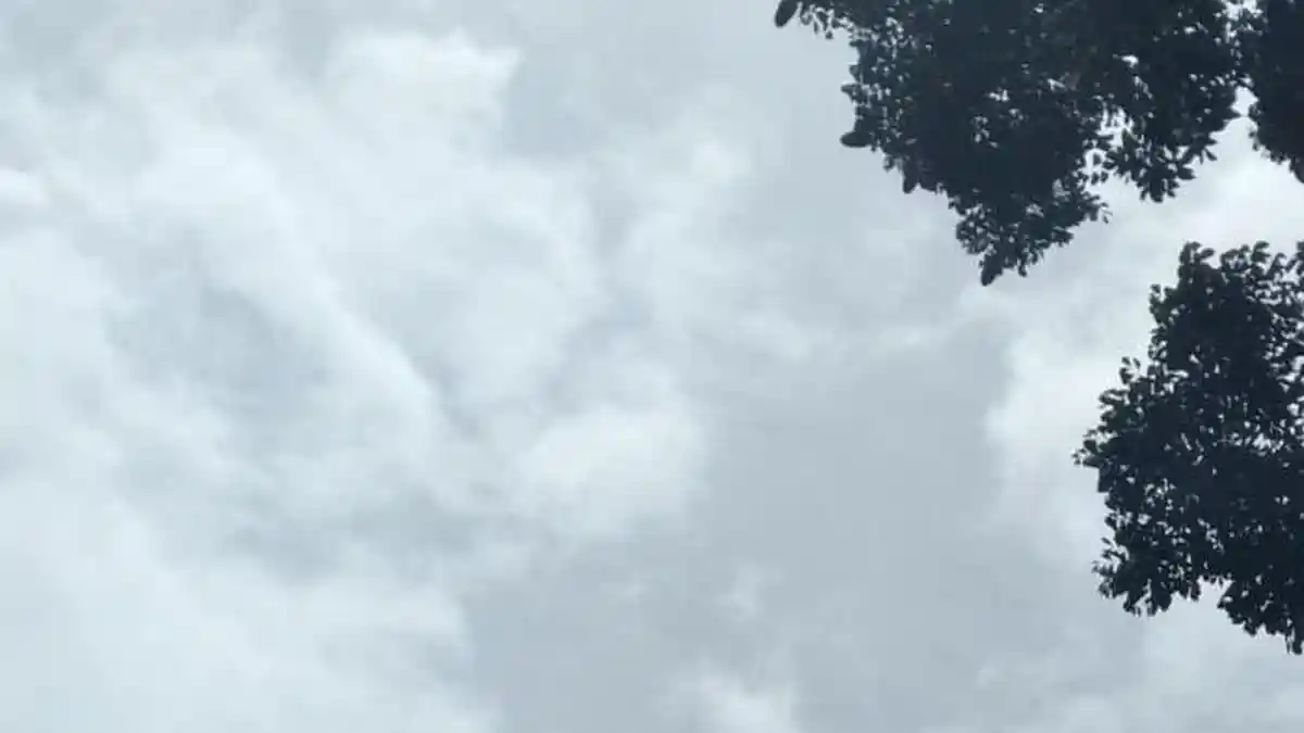 Pantauan Cuaca Kota dan Kabupaten Bogor Jumat 16 Januari 2026, Waspada Hujan di Beberapa Kecamatan