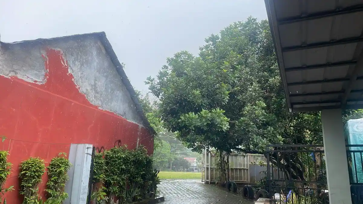 Kondisi Cuaca Kota Bogor Selasa 17 Februari 2026, Cerah Saat Pagi, Kini Hujan di Siang Hari