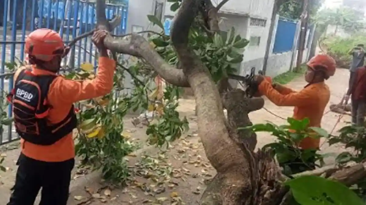 Daftar Bencana Saat Akhir Pekan, Belasan Rumah Terdampak Angin Ngamuk dan Longsor di Kabupaten Bogor