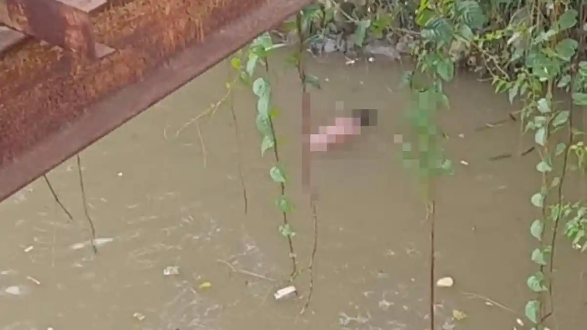 Mayat Pria Tanpa Identitas Mengambang di Bawah Jembatan Sarijan Bogor, Pertama Kali Dilihat Warga