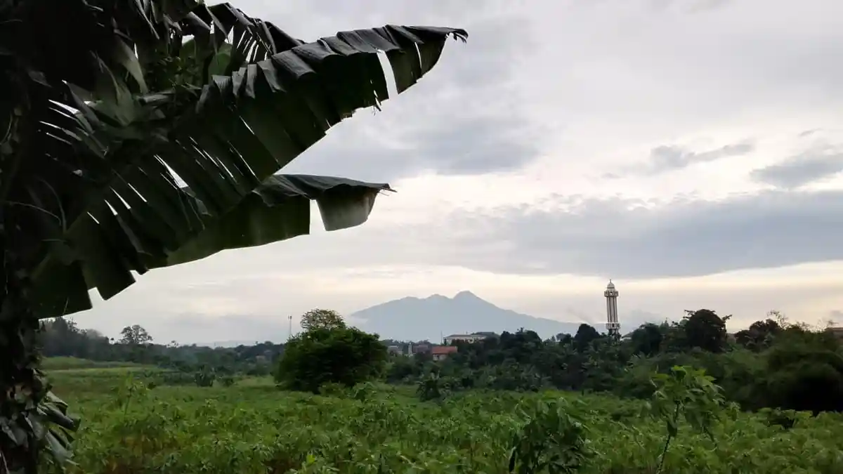 Prakiraan Cuaca Bogor Besok 3 Maret 2026: Siang Hari Hujan Ringan, Suhu Sempat Tembus 30 Derajat