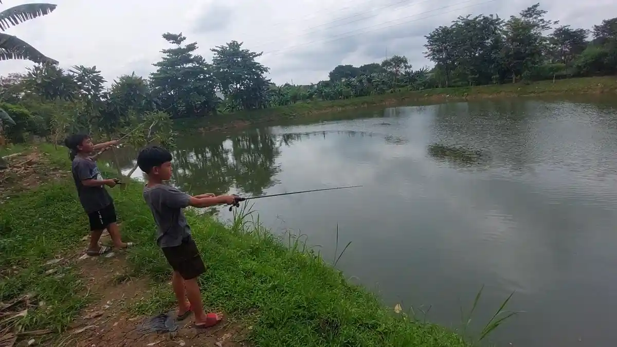 Situ Citongtut Bogor Dulu dan Sekarang, Banyak Jenis Ikan Perlahan Hilang, Kini Mati Keracunan