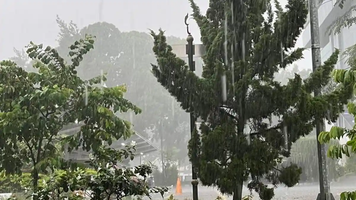 Dilanda Cuaca Buruk, Hujan Deras Disertai Angin Kencang dan Petir Terjadi di Cibinong Bogor