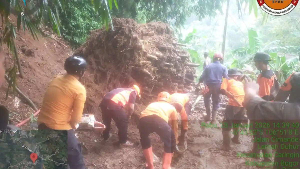 Longsor di Caringin Bogor Bikin Akses Jalan Tertutup, Rumpun Bambu Tumbang ke Jalan