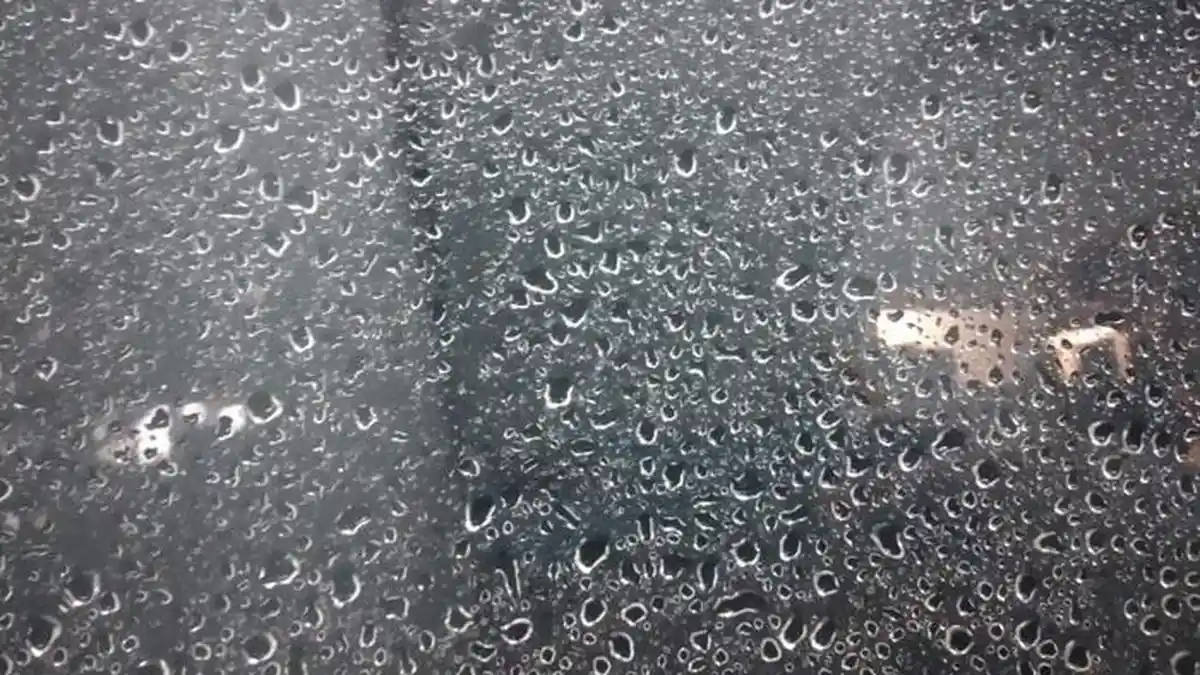 Prakiraan Cuaca Bogor Besok Rabu 4 Februari 2026: Waspada Hujan Ringan Seharian