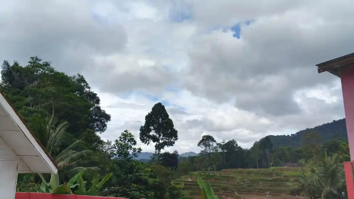 Info Cuaca Bogor 18 Januari 2026: Bakal Hujan sampai Malam, Sore Ada Potensi Petir dan Angin Kencang