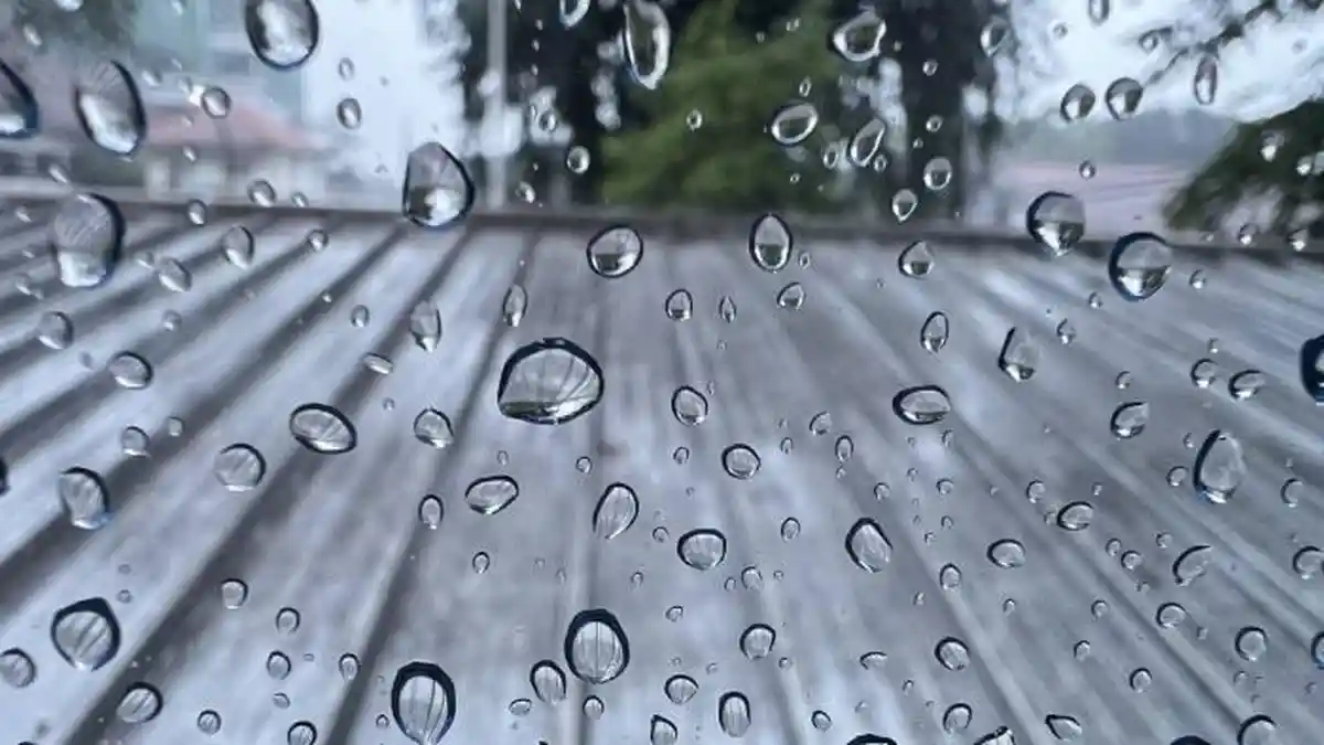 Prediksi Cuaca Kota Bogor Besok Kamis 26 Februari 2026, Potensi Hujan Ringan dari Pagi hingga Siang