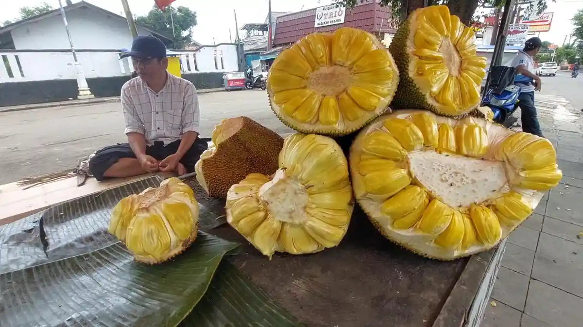 Cerita Berkah Ramadan Pedagang Nangka di Kota Bogor, Merasa dapat 'THR' dari Penjualan yang Meroket