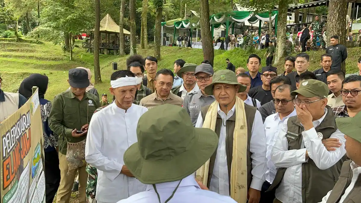 Hadiri Peringatan HUT ke-34, Wamenhut Ungkap Keistimewaan Taman Nasional Gunung Halimun Salak