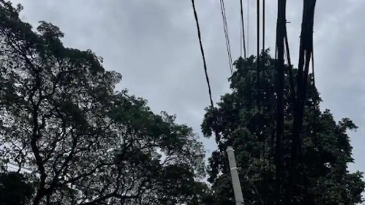 Kondisi Cuaca Kota Bogor Jumat 27 Februari 2026 Sore, Pagi Hujan, Sejuk Jelang Buka Puasa