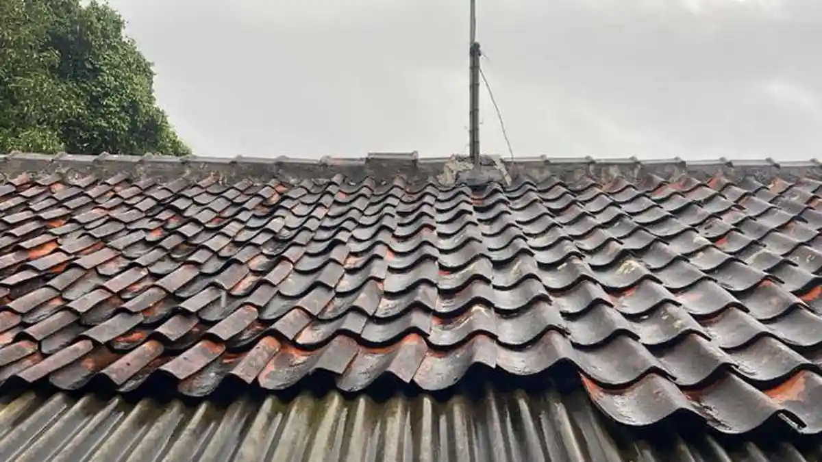 Cuaca Kota Bogor Hari Ini Sabtu 28 Februari 2026, Potensi Hujan Ringan dari Siang hingga Sore Hari