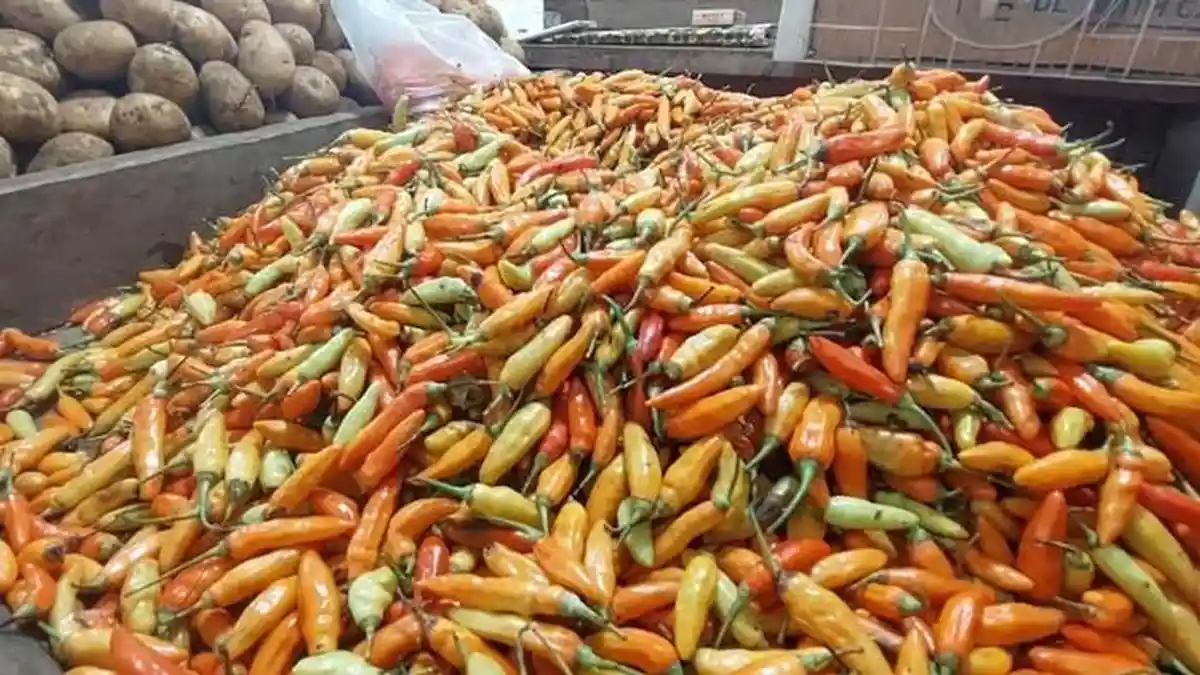 Harga Cabai Jablay di Pasar Jambu Dua Kota Bogor Hampir Tembus Rp100.000 Jelang Ramadan