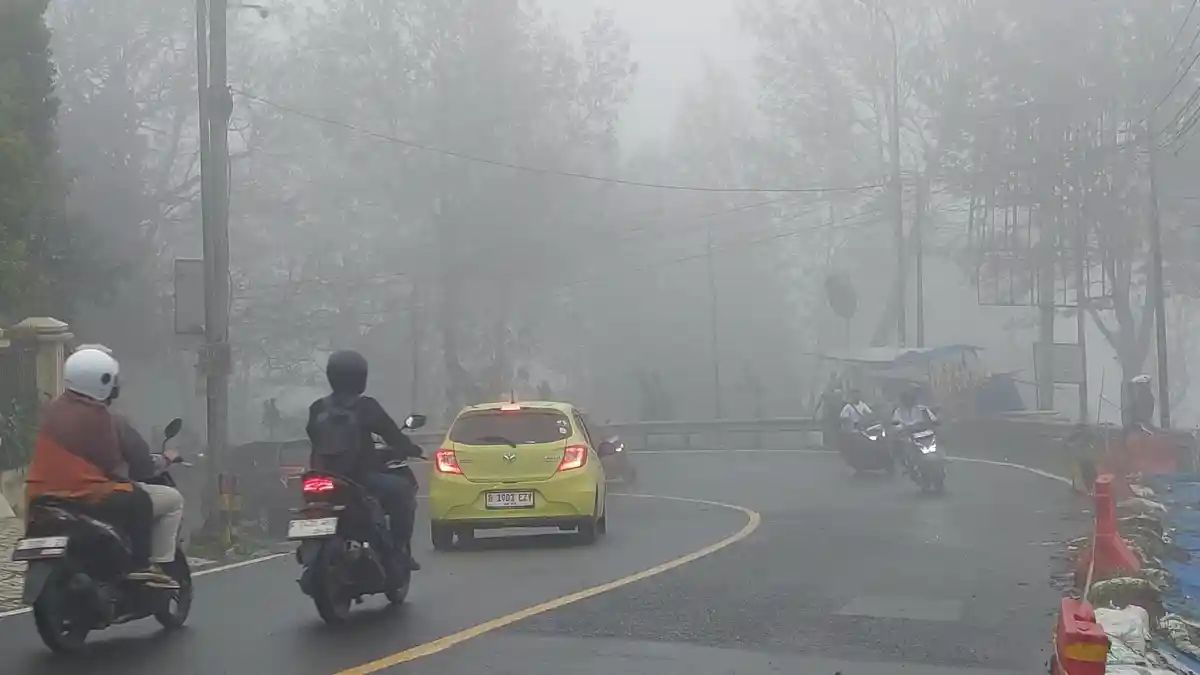 Waspada, Jalan Raya Puncak Bogor Diselimuti Kabut Tebal, Jarak Pandang Terbatas