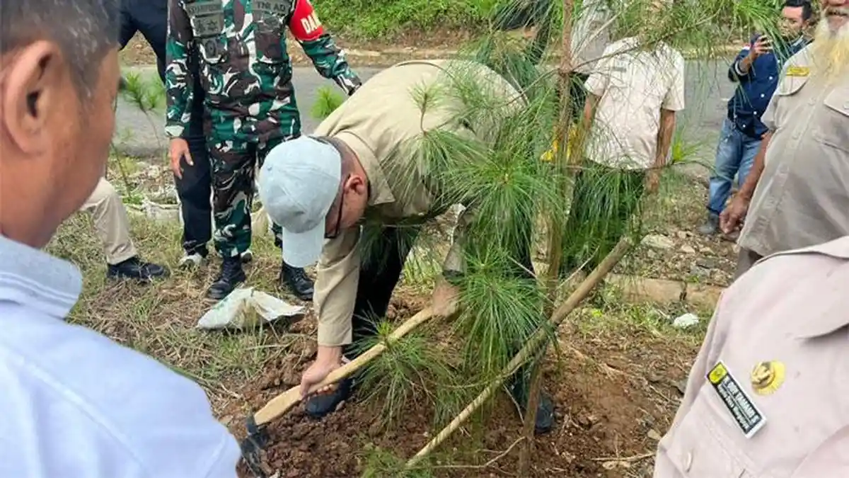 Pemkab Bogor Lakukan Penanaman Pohon di Wilayah Sukamakmur, Bakal Jadikan Kawasan Pinus yang Asri