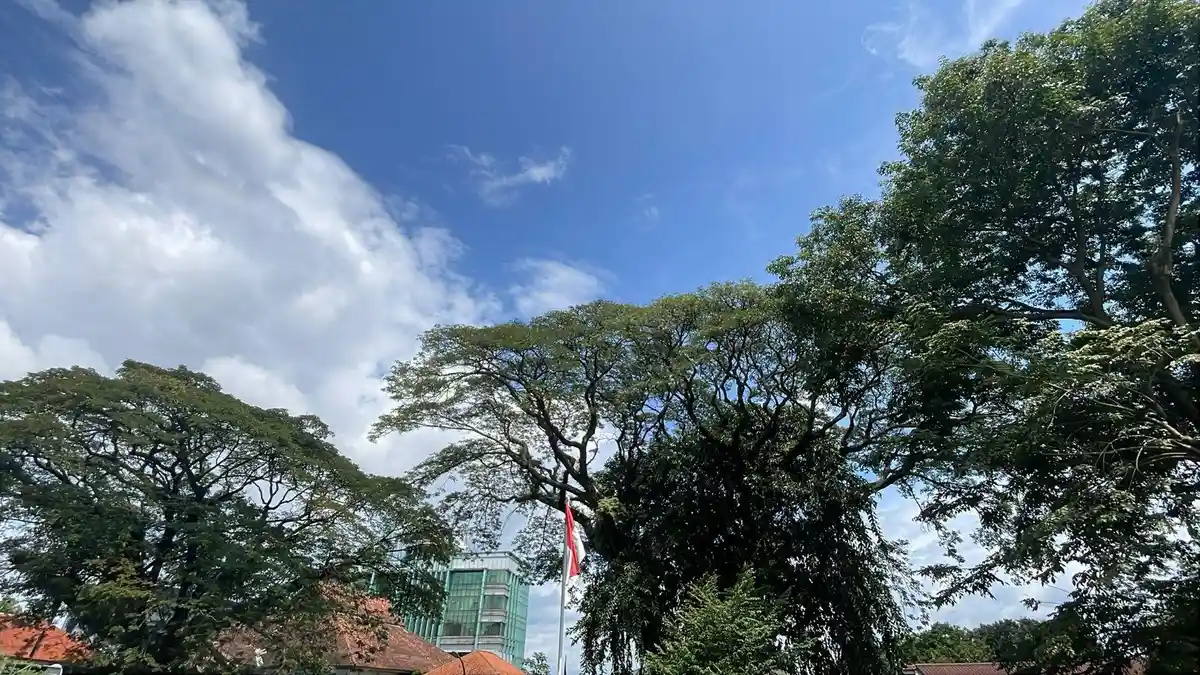 Update Cuaca Kota Bogor Senin 9 Maret 2026, Cerah Sepanjang Pagi Sampai Siang, Sore Potensi Hujan