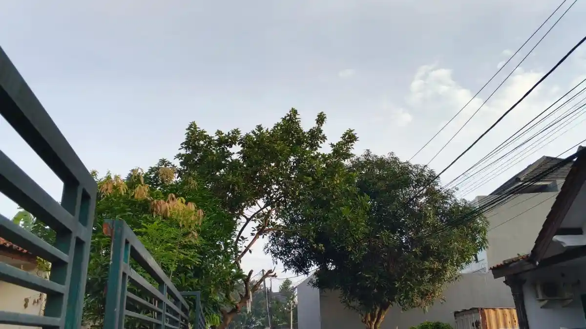 Info Cuaca Bogor Hari Ini 1 Maret 2026: Pagi Cerah Berawan, Siang Siapkan Payung Bakal Hujan!