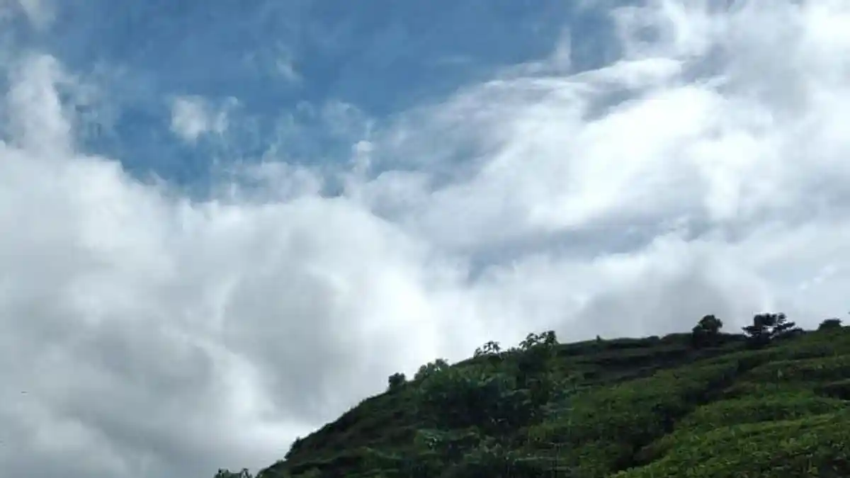 Prakiraan Cuaca Bogor Besok Senin 19 Januari 2026: Waspada Hujan Guyur Kota dan Kabupaten