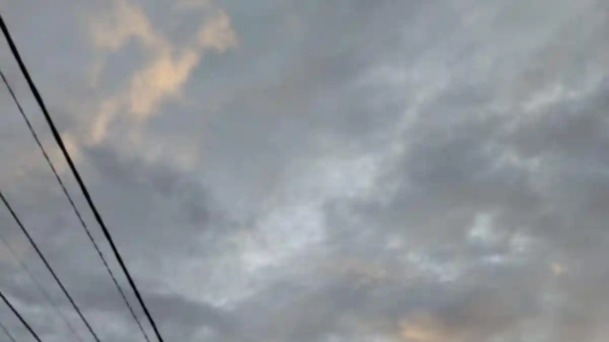 Prakiraan Cuaca Bogor Hari Ini Minggu 8 Februari 2026, Mayoritas Wilayah Diguyur Hujan Ringan