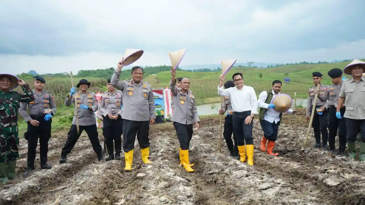 Laba Petani Tembus Rp33 Juta Per Musim, Kapolri Minta Seluruh Polda Tiru Skema Jagung Polda Jabar