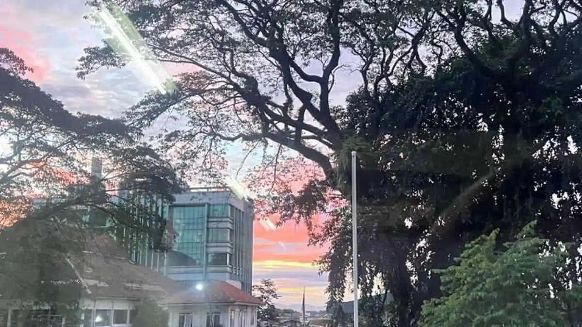 Cuaca Kota Bogor Besok Kamis 12 Maret 2026, Diprediksi Cerah Sepanjang Hari hingga Malam