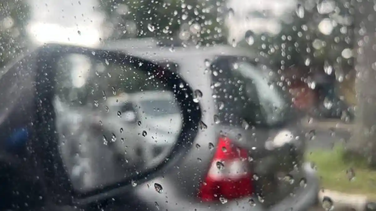 Cuaca Kota Bogor Hari Ini Selasa 20 Januari 2026, Hujan Sejak Pagi hingga Sore Hari