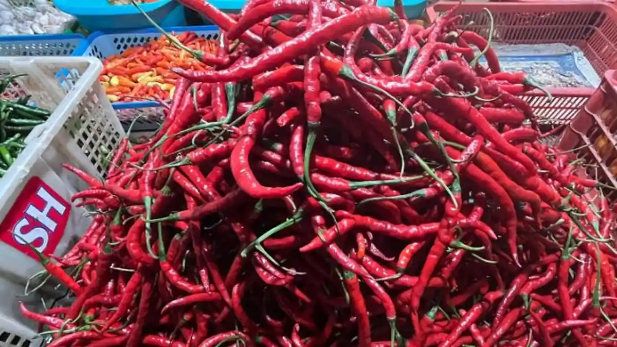 Sepekan Jelang Lebaran Harga Cabai Kian Pedas di Kota Bogor, Kini Tembus Rp110 Ribu