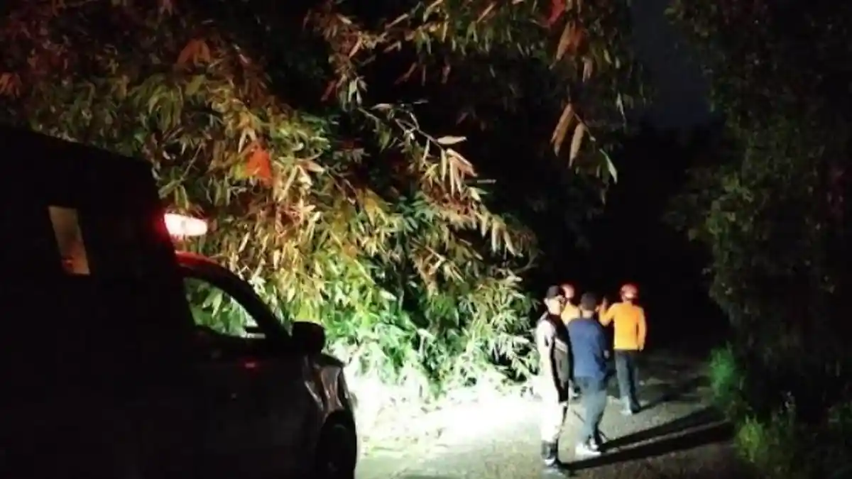 Rumah hingga Akses Jalan di Bogor Tertimpa Pohon Tumbang Imbas Hujan Deras Disertai Angin Kencang