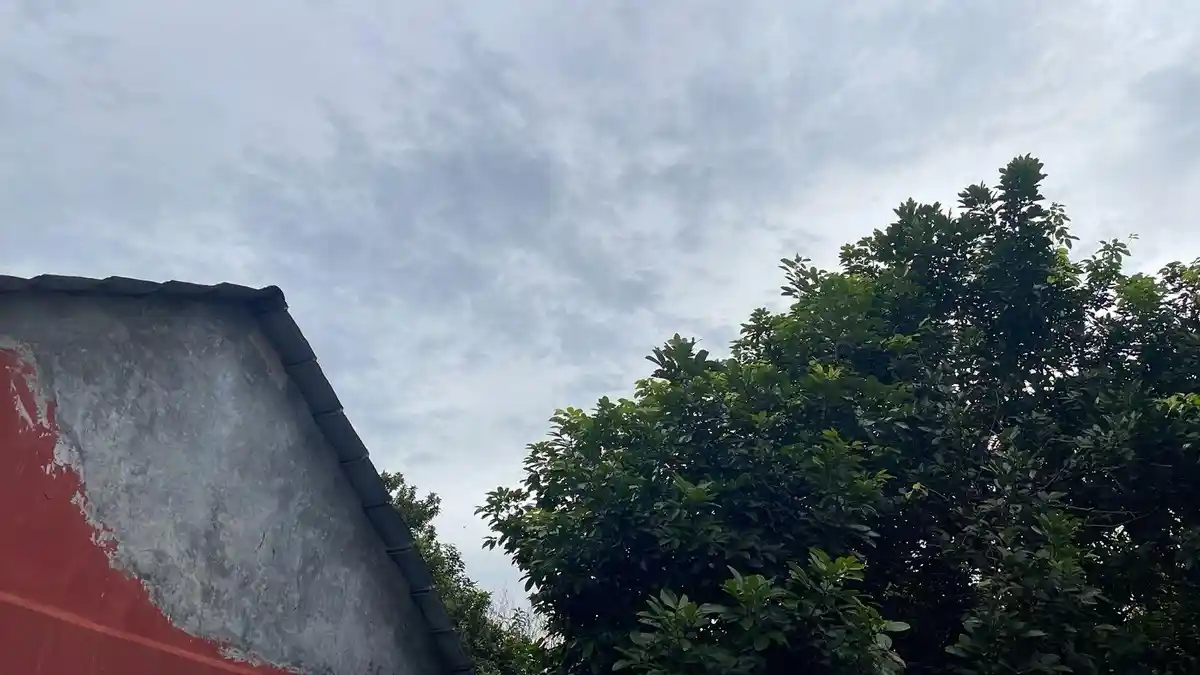 Prakiraan Cuaca Kota Bogor Minggu 8 Februari 2026, Potensi Hujan Siang dan Sore, Malam Berawan